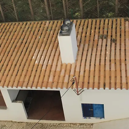 Julio Dinis *